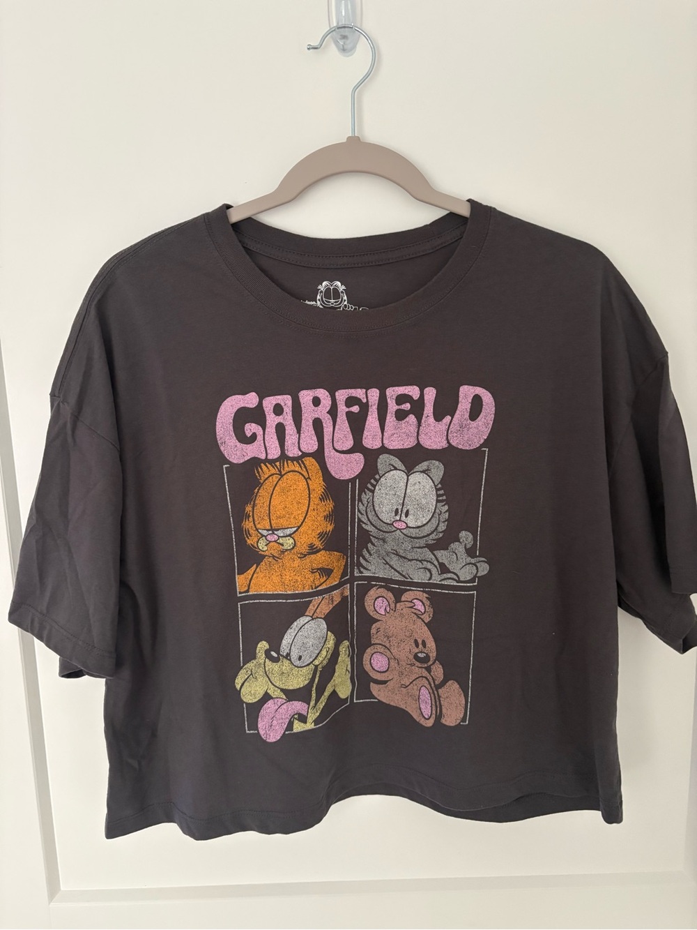 Nickelodeon Garfield Cropped Graphic Tee - Dark grey with Pink Logo